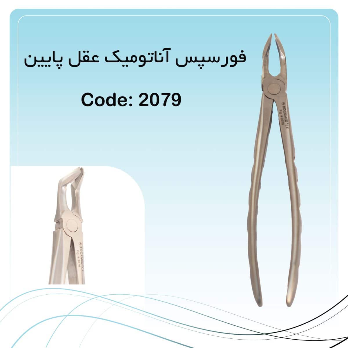 12 فورسپس آناتومیک عقل پایین