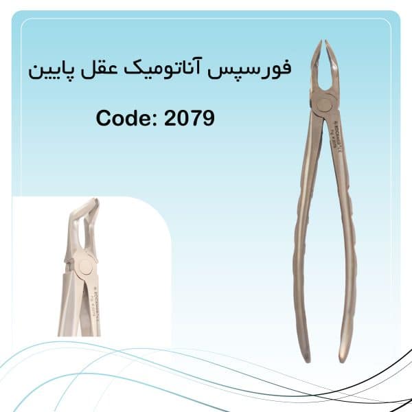 فورسپس آناتومیک عقل پایین