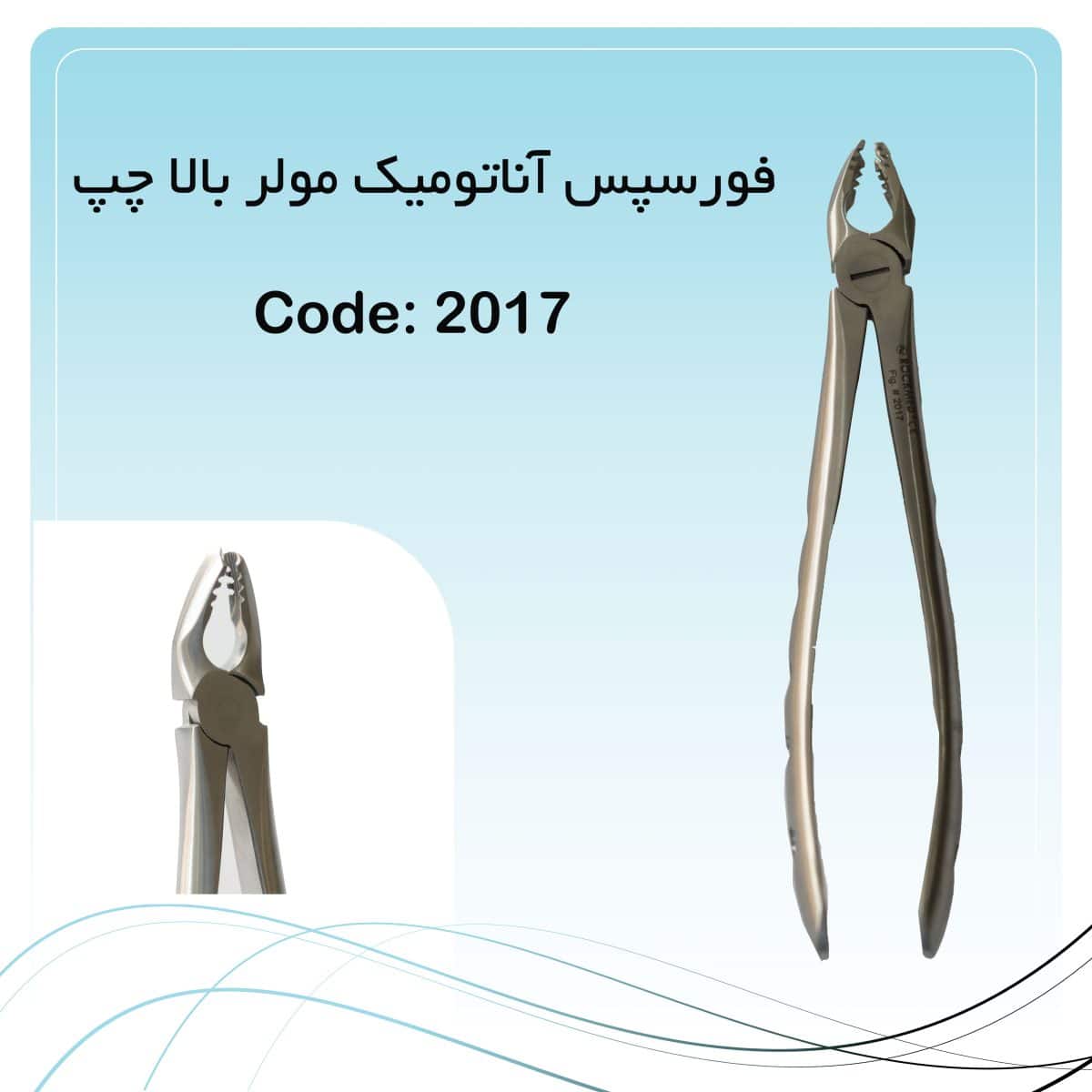 13 فورسپس آناتومیک مولر بالا چپ