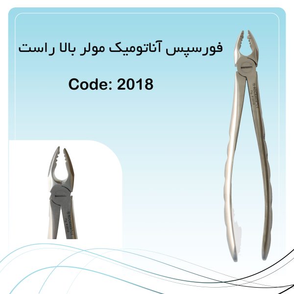 فورسپس آناتومیک مولر بالا راست