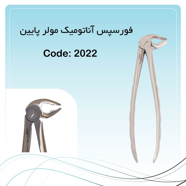 فورسپس آناتومیک مولر پایین