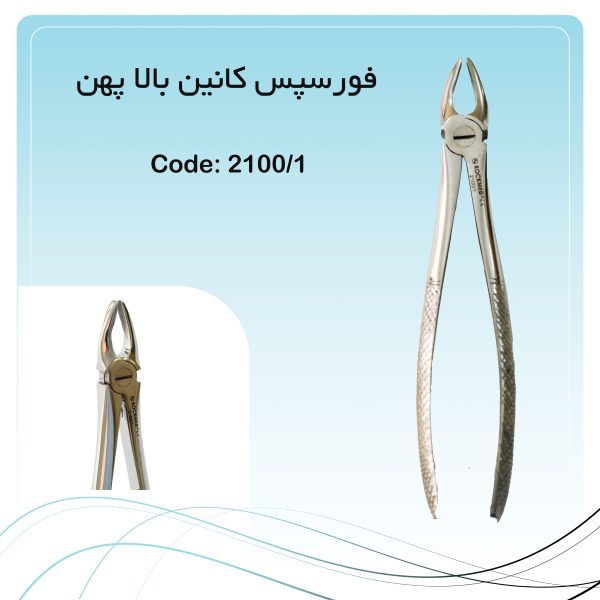فورسپس کانین بالا پهن