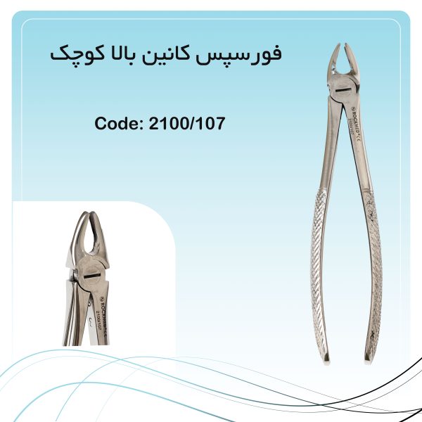 فورسپس کانین بالا کوچک