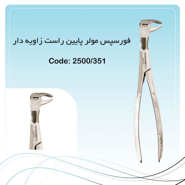 فورسپس مولر پایین