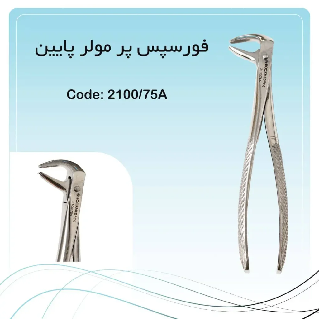 فورسپس پر مولر پایین