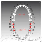 تصویر راهنمای انتخاب کلمپ رابردم
