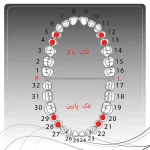 تصویر راهنمای انتخاب کلمپ رابردم
