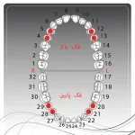 تصویر راهنمای انتخاب کلمپ رابردم