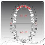 تصویر راهنمای انتخاب کلمپ رابردم