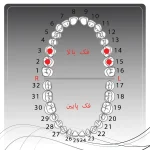 تصویر راهنمای انتخاب کلمپ رابردم