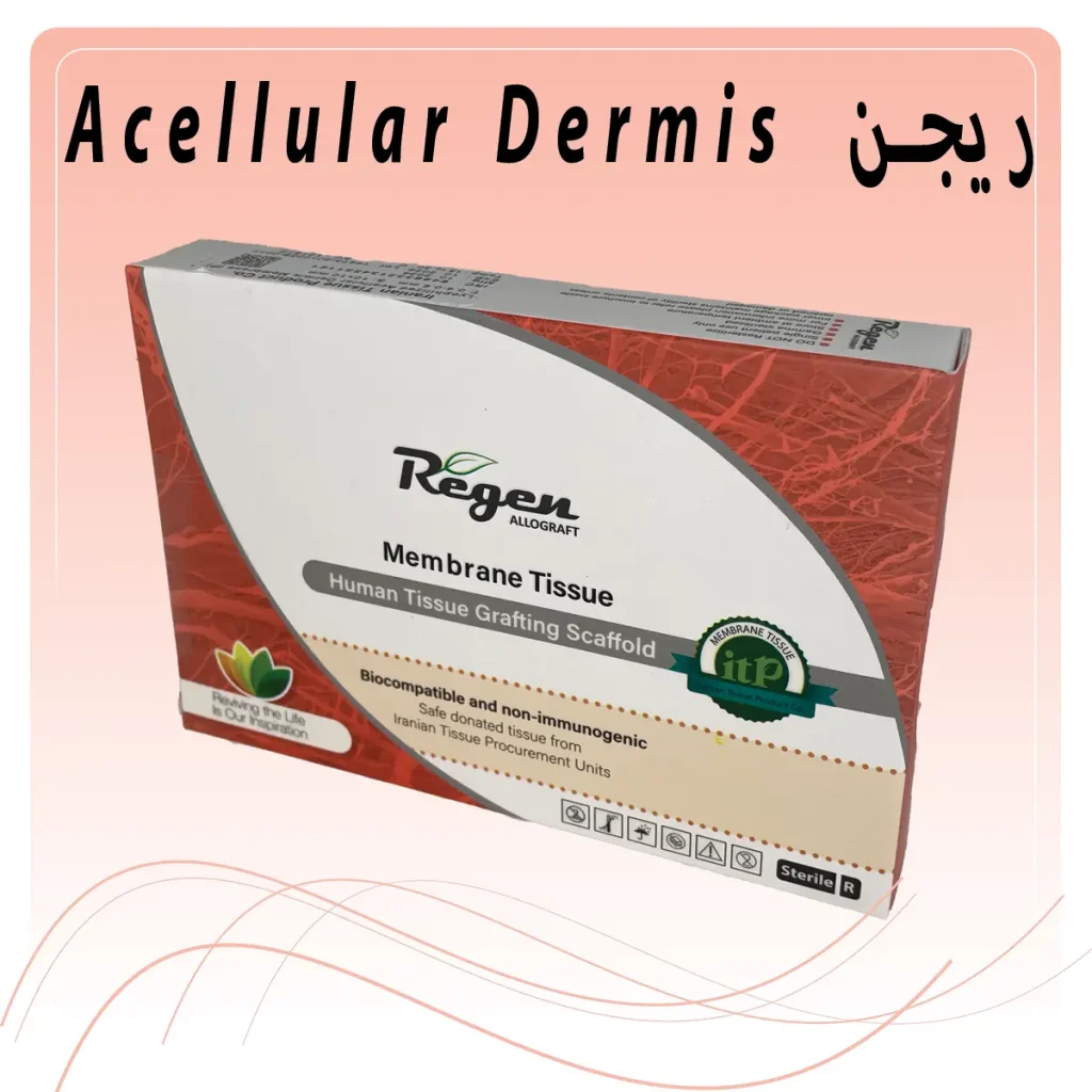 تصویر ممبران ریجن Acellular Dermis